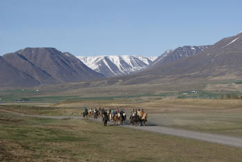 Pferdreiten in Skagafjörður